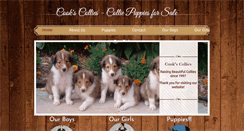 Desktop Screenshot of collie-puppies.com