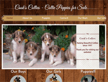 Tablet Screenshot of collie-puppies.com